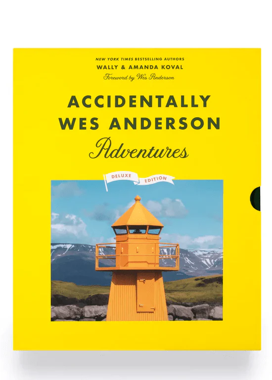 Accidentally Wes Anderson