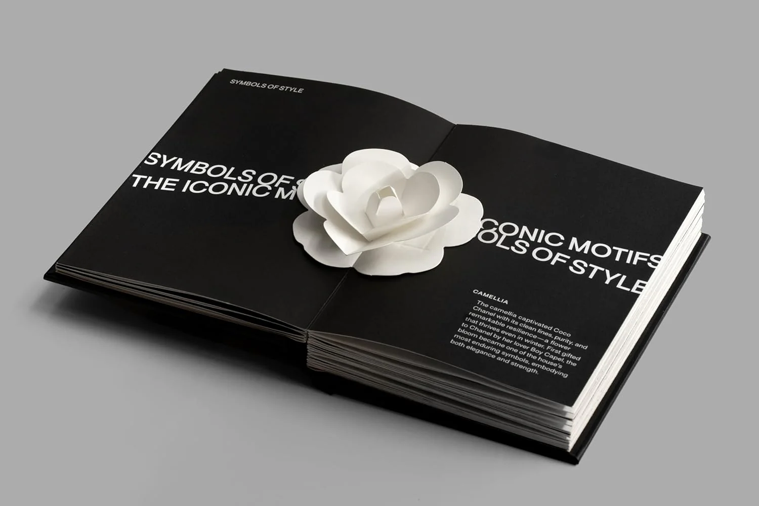 Pop-Up CHANNEL - Image 6